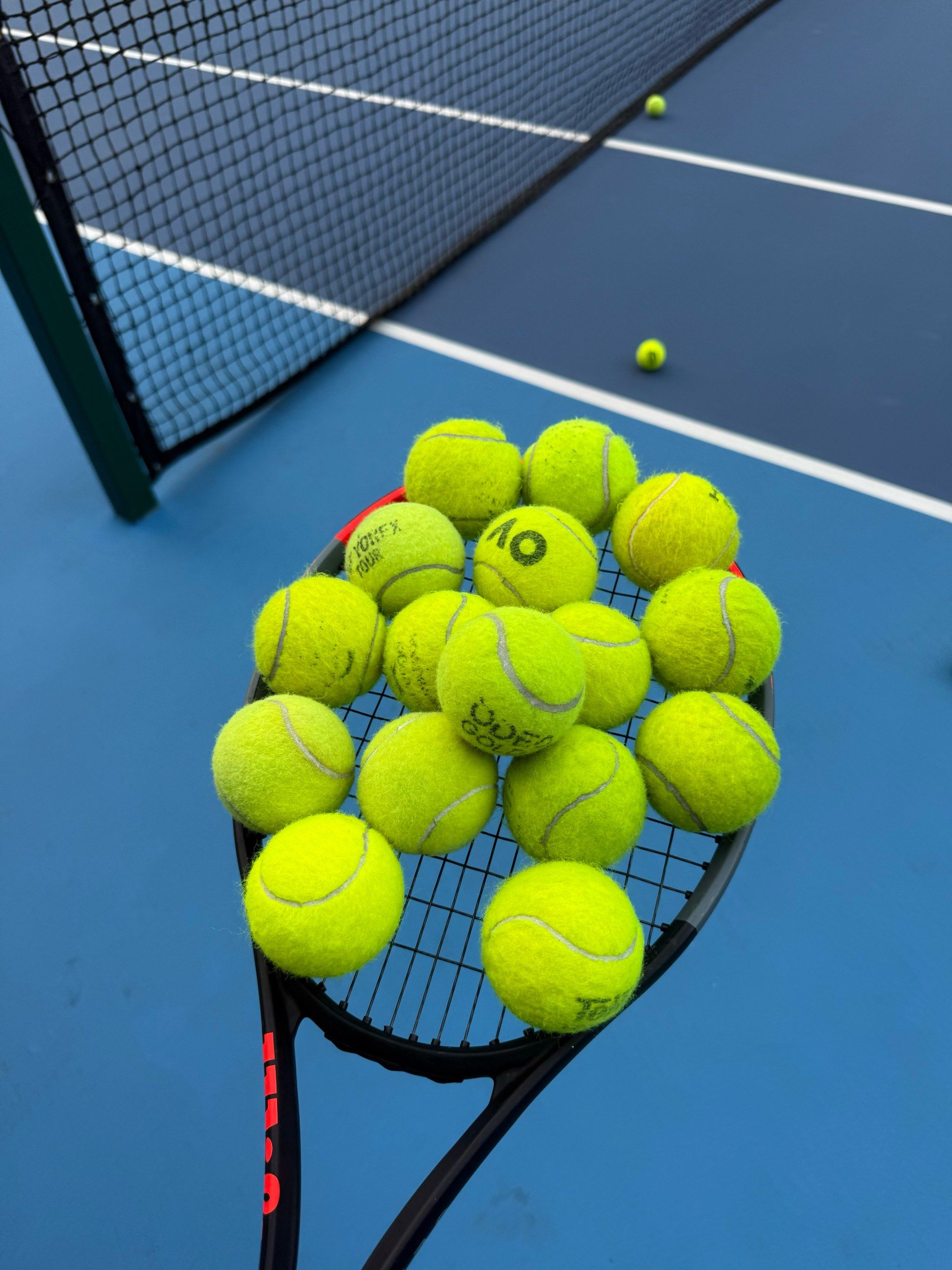 阵容与首发 阵容与首发